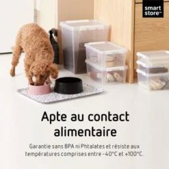 Boîte De Rangement Allongée Avec Casiers 3,5 Litres -Outils De Stockage boite de rangement avec casiers 35 l classic 4 smartstore 5