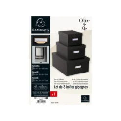 Exacompta Lot De 3 Boîtes En Carton Déco Office By Me -Outils De Stockage lot de 3 boites gigogne office by me 2